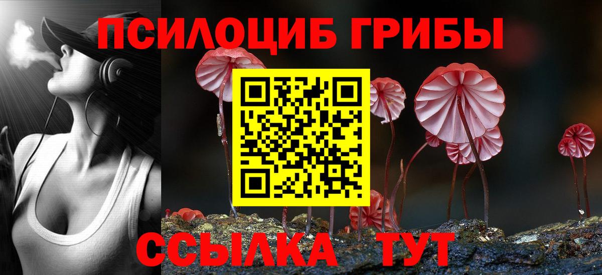 Конаково  Псилоцибиновые грибы Psilocybe  Вход с VPN  Псилоцибиновые грибы прущие грибы 